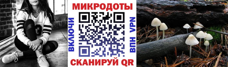 купить наркотик  Цивильск  Галлюциногенные грибы мицелий 